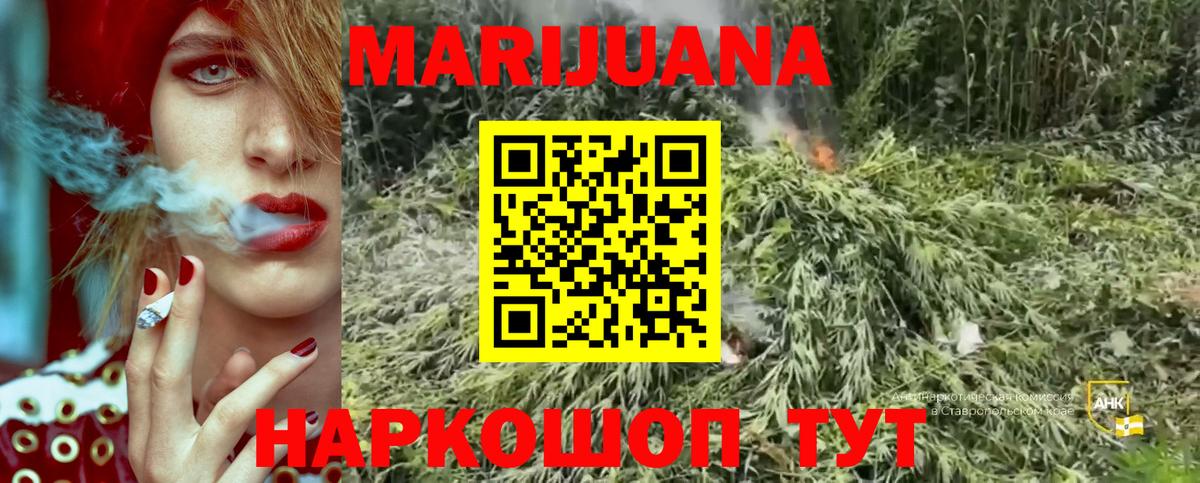 Марихуана Bruce Banner  Вход с VPN  Брянск  Шишки марихуана Amnesia 